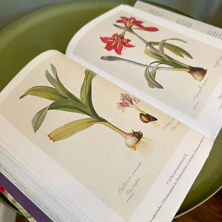 Weinvilla 1901 ناومبورغ