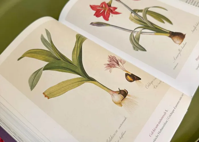 Weinvilla 1901 Naumburg